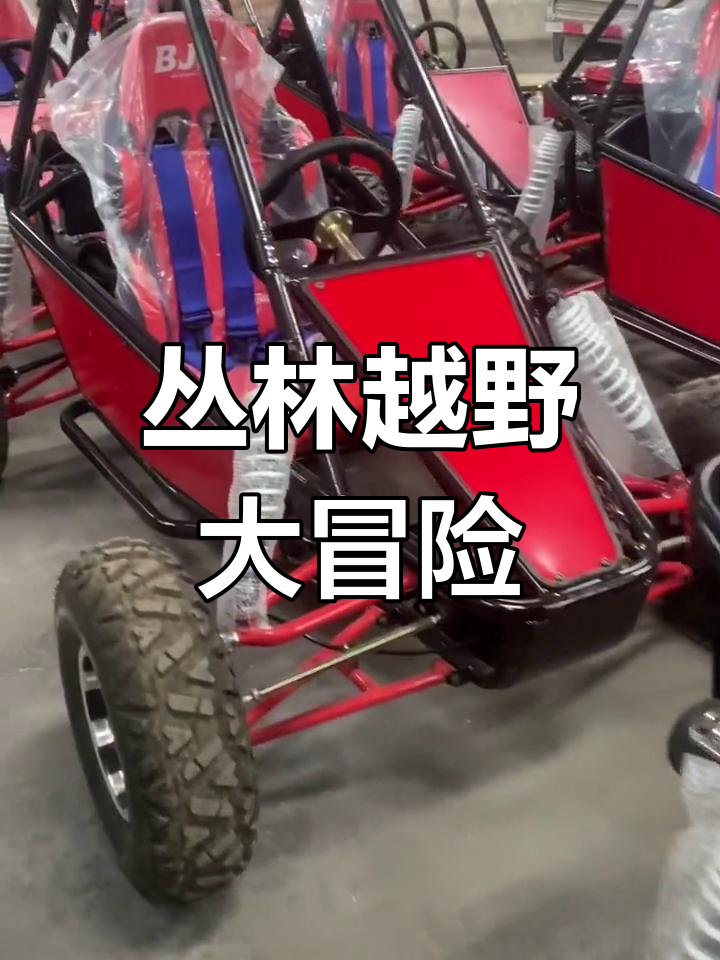 九游9游-山地越野跑夺冠赛，冒险精神的极限飞跃的简单介绍