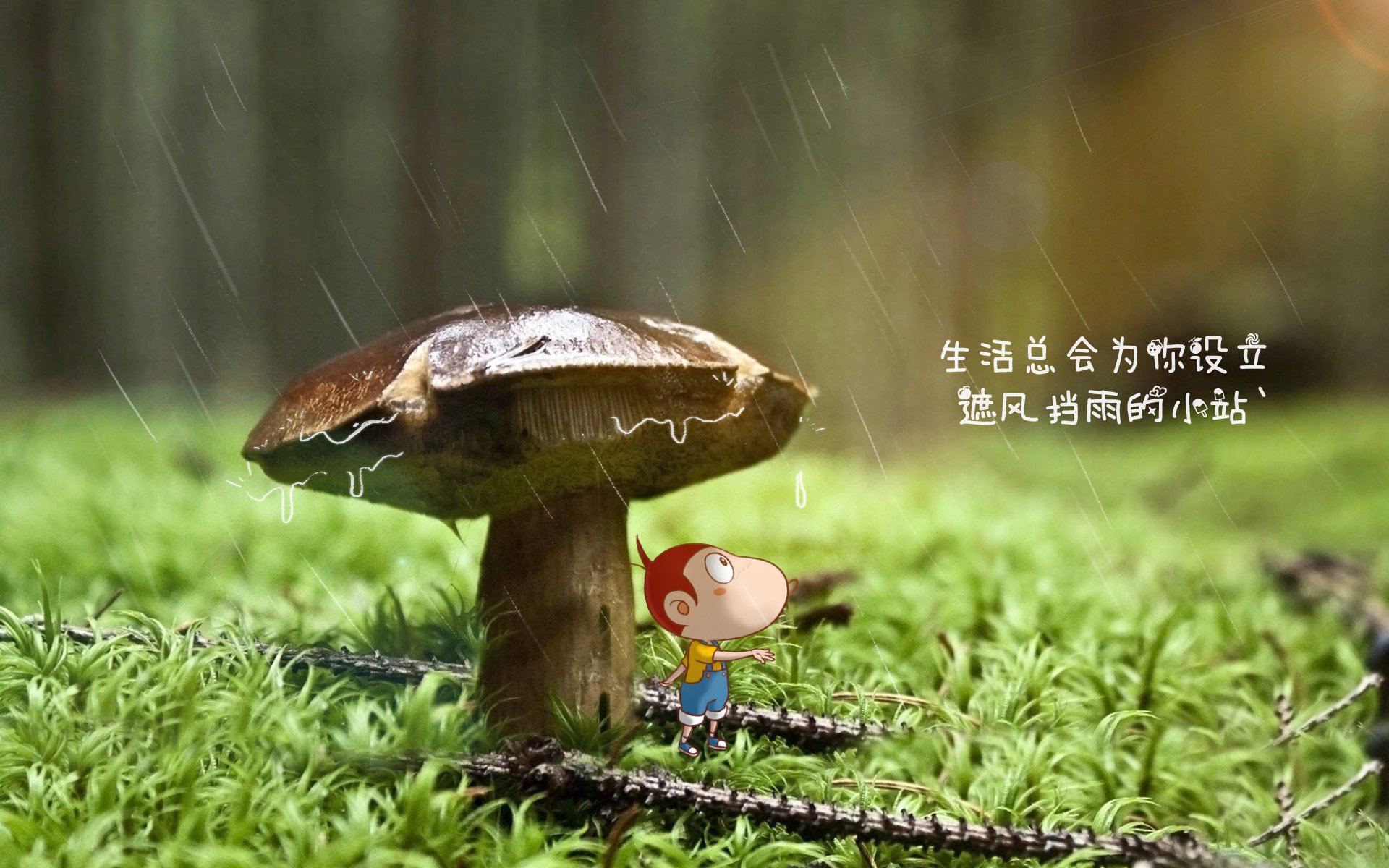 “关键战役！夺冠队伍迎来最艰难考验，谁能笑到最后？”，关键战役下载