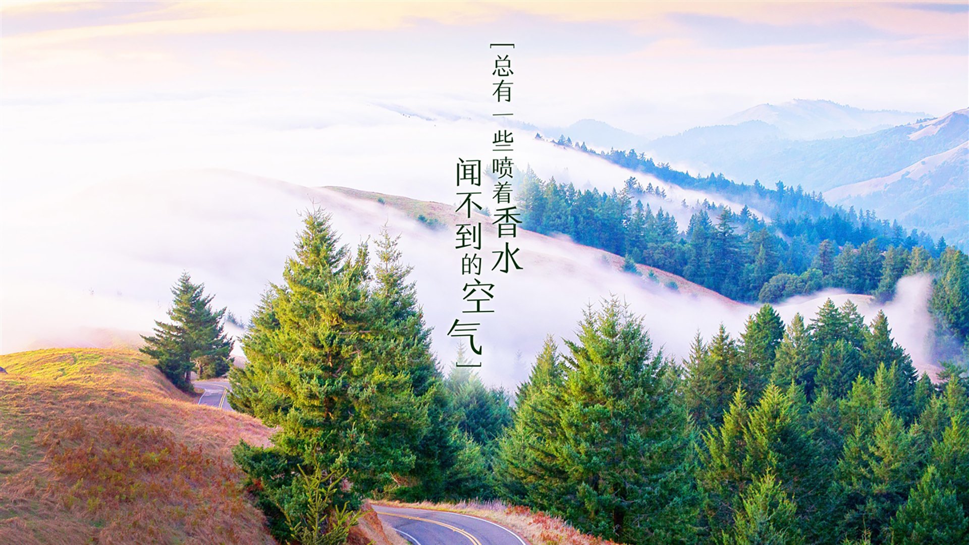 沃尔夫斯堡球队新援表现出色，助力球队迎来连胜，沃尔夫斯堡足球俱乐部最近状态