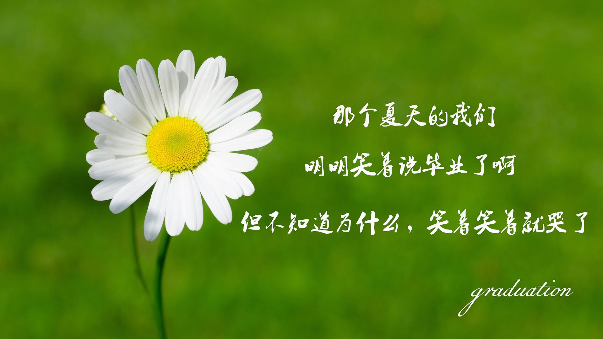 JIU YOU GAME-“壁球赛场，快速反击与精准控制：2025世界运动会在高新区全民健身馆激烈上演！”