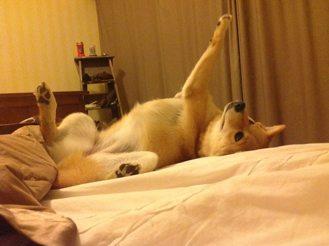 村超计划设立跨省对抗赛提升联赛竞技含量