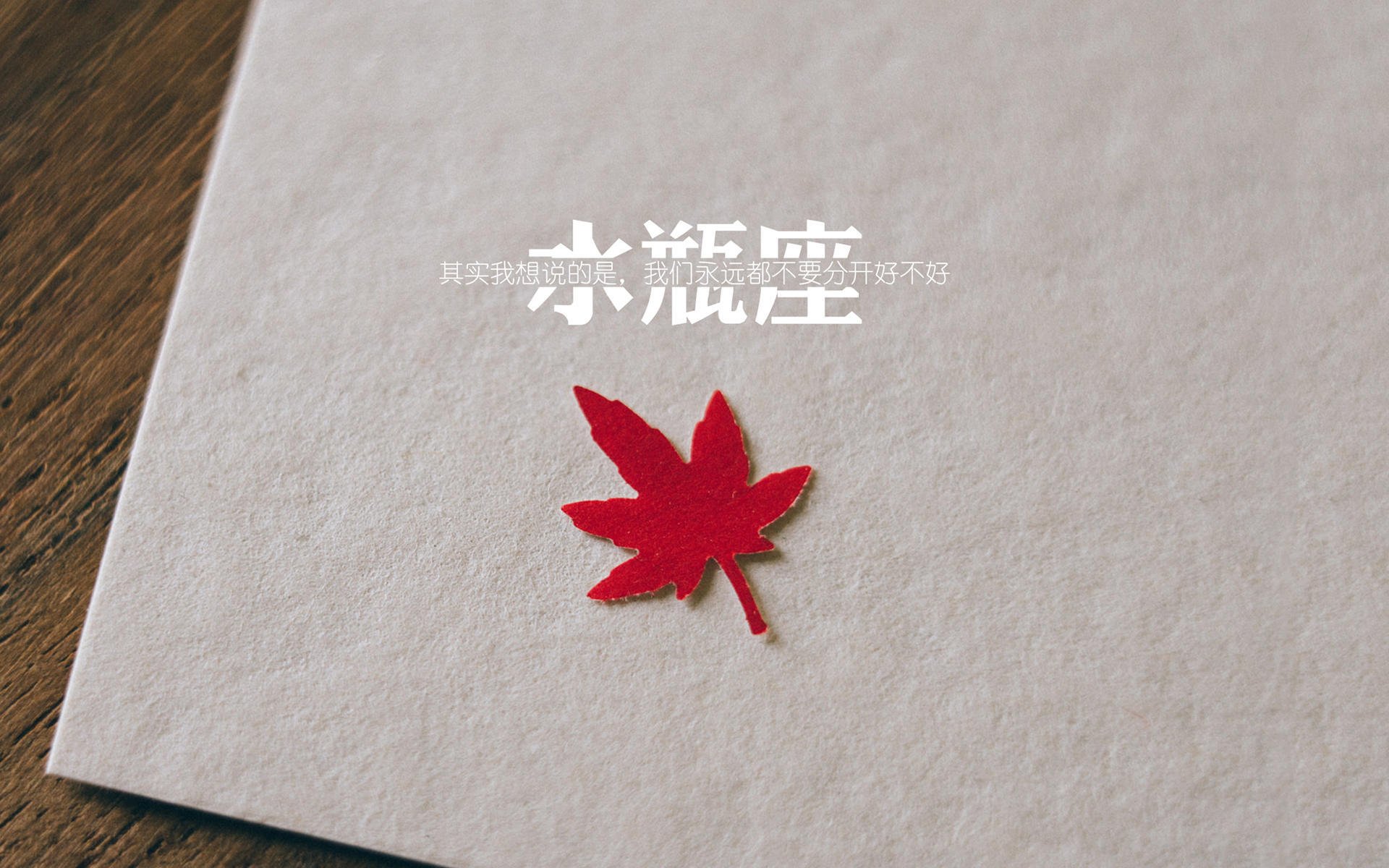 美洲杯明星盛典：精彩演出点燃全场！，美洲杯颁奖嘉宾